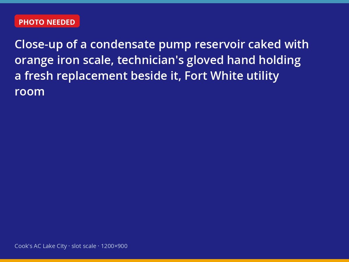 Iron-scaled condensate pump being replaced at a Fort White well-water home