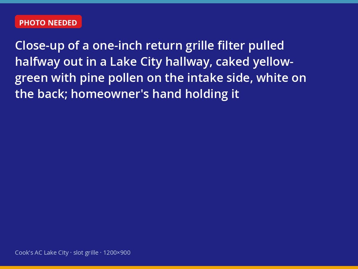 One-inch return filter caked with pine pollen pulled from a Lake City hallway grille
