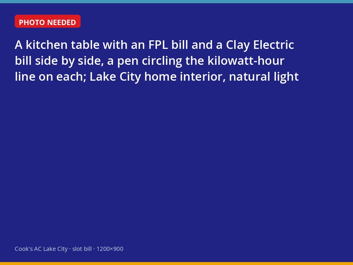 FPL and Clay Electric bills side by side on a kitchen table with the usage lines circled