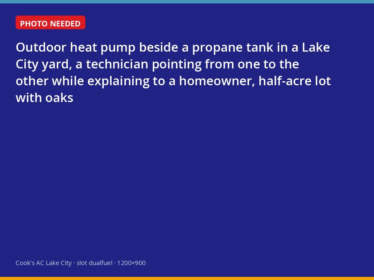 Technician explaining a dual-fuel heat pump and propane furnace setup to a Lake City homeowner